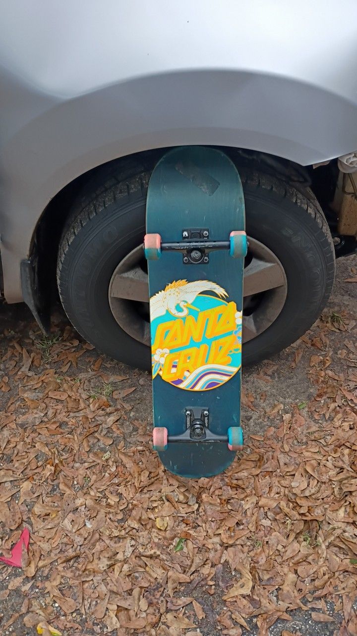 Santa Cruz Skateboard