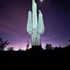 AZ Sun Valley Sales LLC