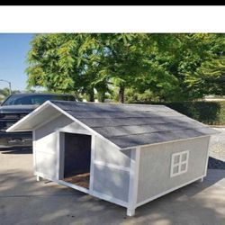 Outdoor Animal Homes – Long-Lasting and Cheerful Shelters for Pets east across
