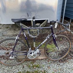 Trek 2100 Pro
