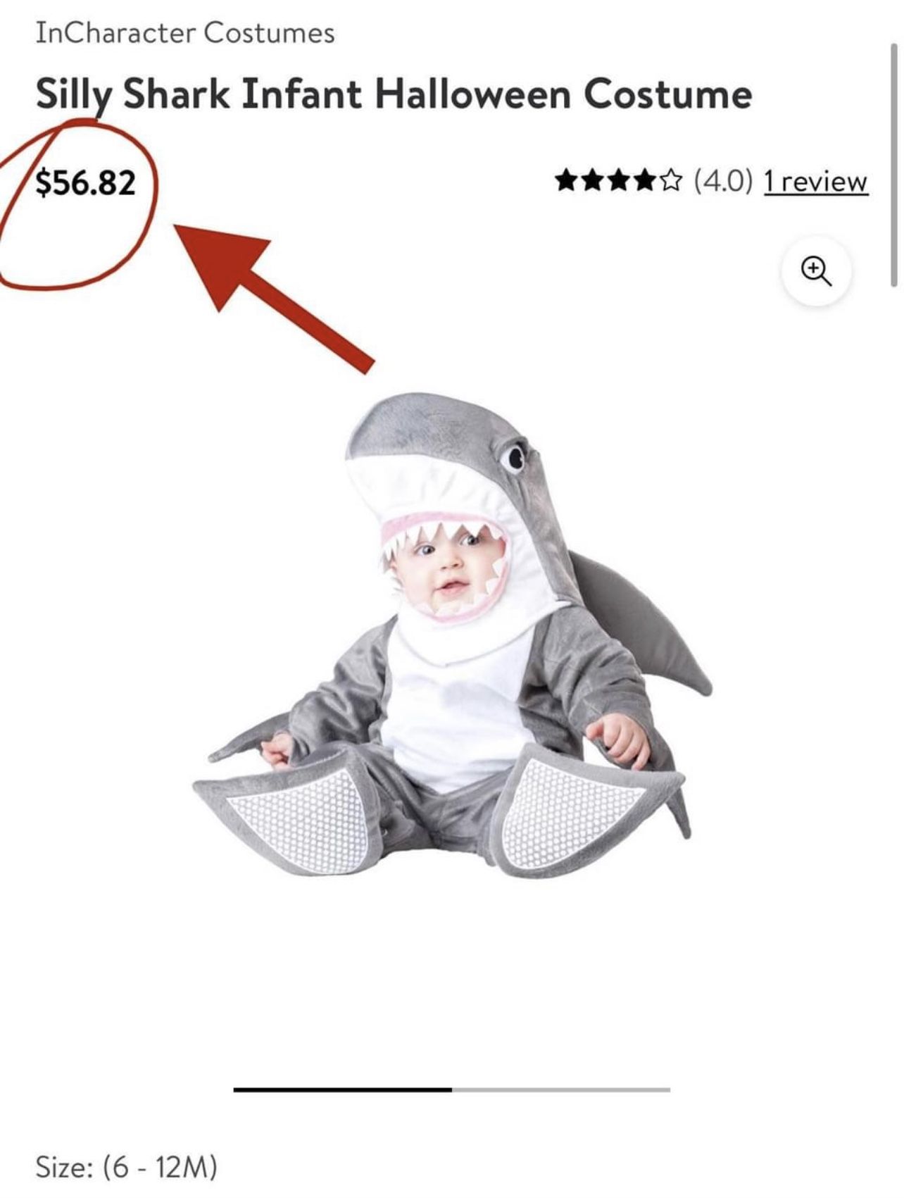 Family Costumes Lifeguards and Baby Shark