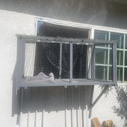 Catio
