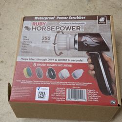 Power Scrubber 