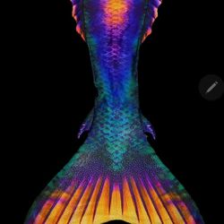 Fun Fin Mermaid Tale🧜🏾‍♀️