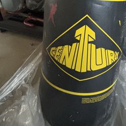 Century Punching Bag 