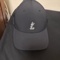 Disney Hat