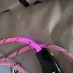 Dog Hiking Kit - Backpack + Shoes + LED Leash + Harness