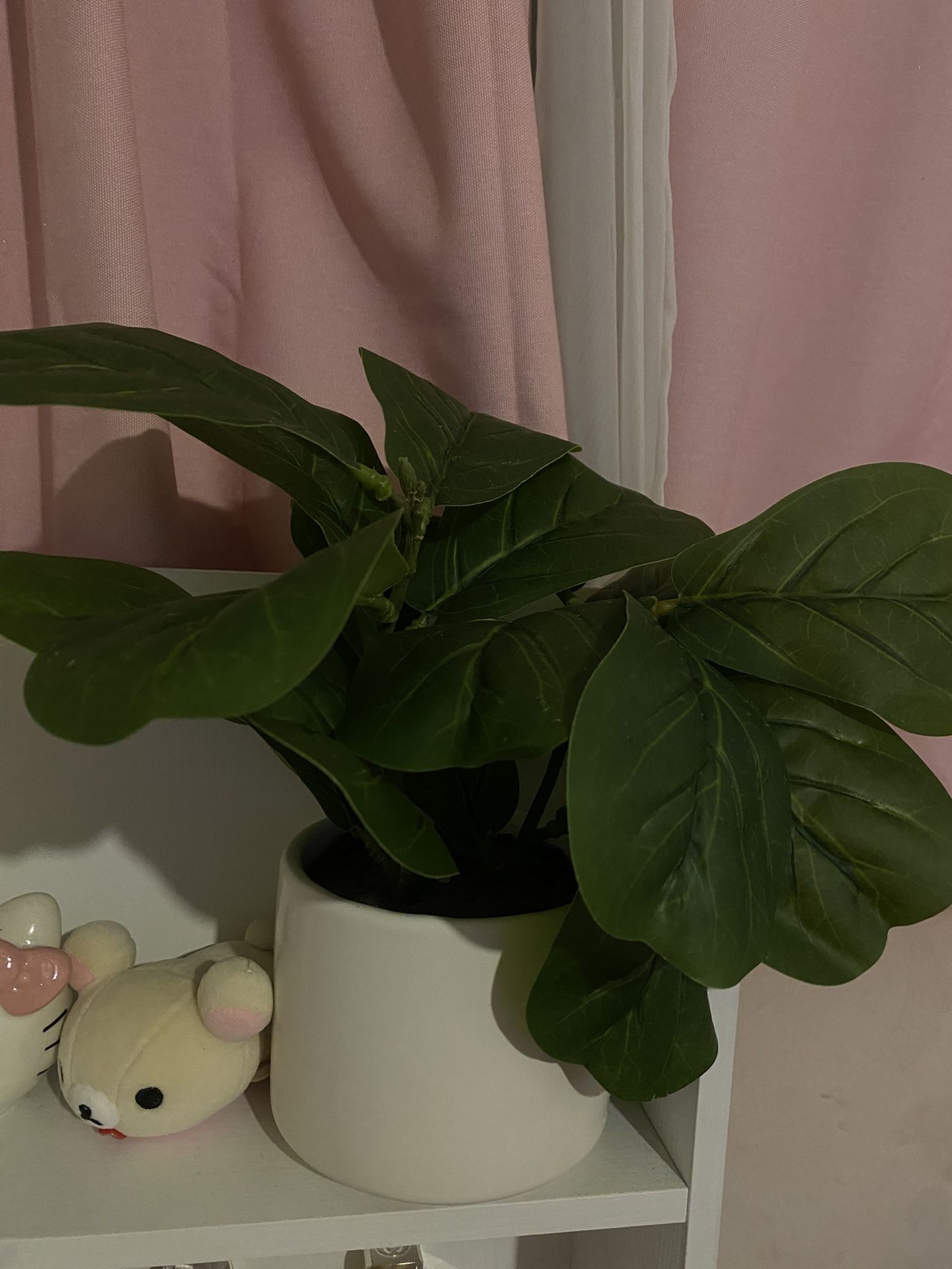 fake plant