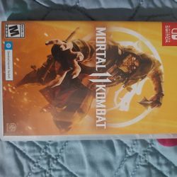 Mortal Kombat 11 on the Nintendo Switch