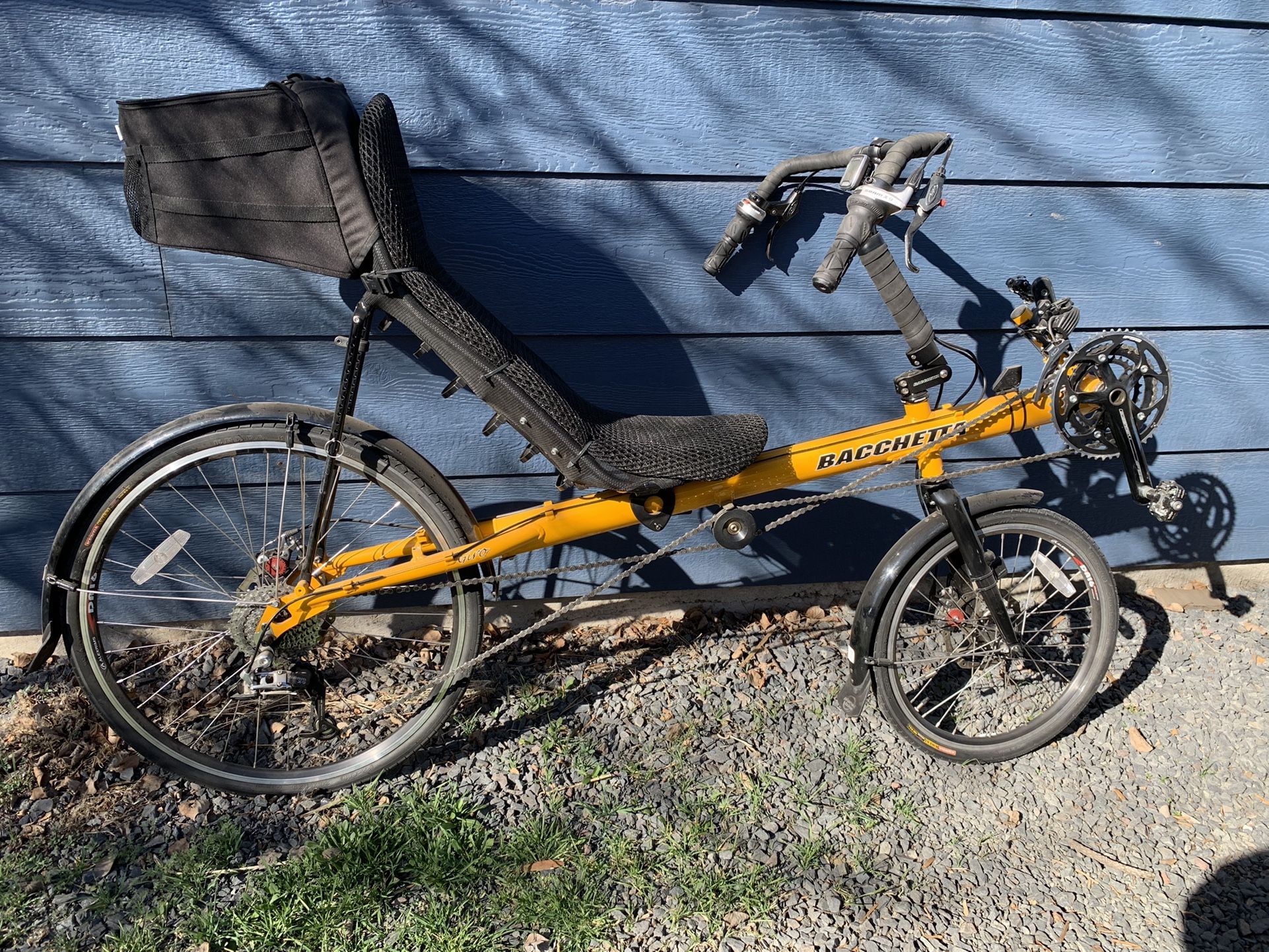 Bacchetta best sale recumbent bike