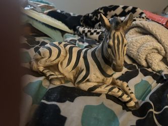 Ceramic Zebra