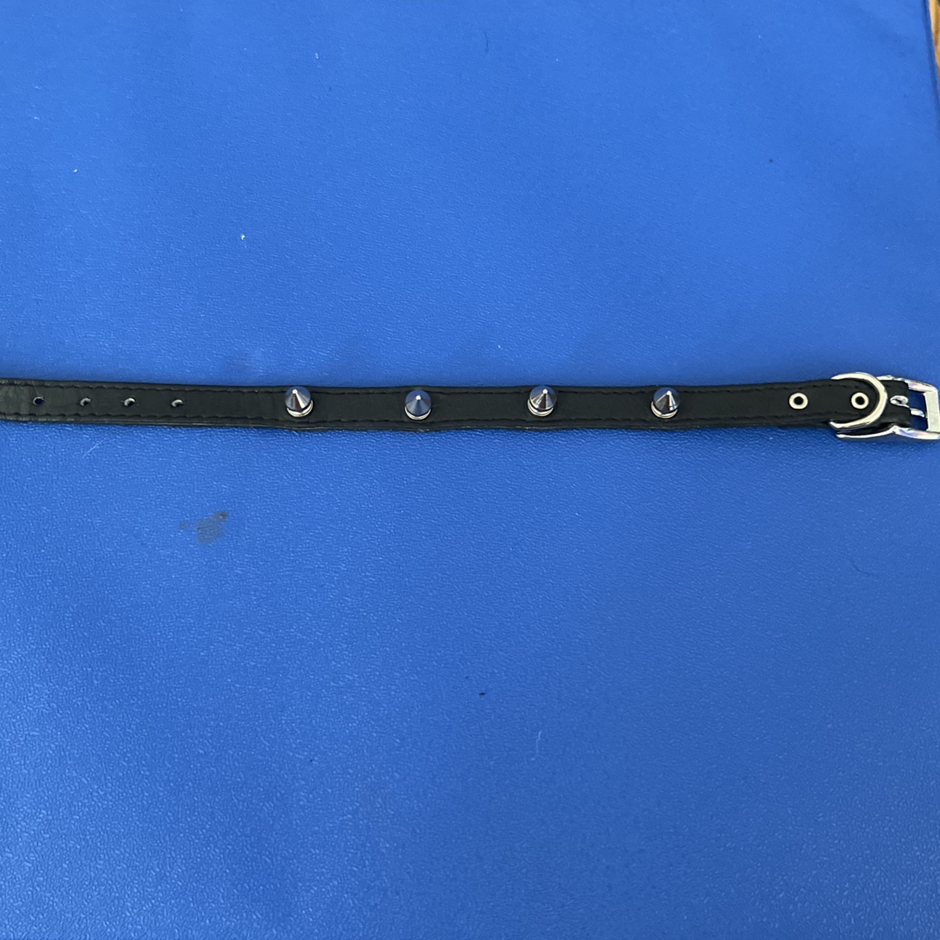 dog collar