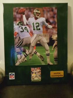 Randall Cunningham Eagles Wall Plaque 20x By 16x