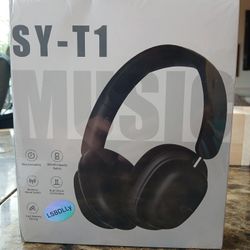 
The SY-T1 Music Bluetooth Headsets New


The SY-T1 Music Bluetooth Headsets are sleek and stylish headphones designed for a comfortable and immersive
