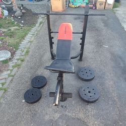 Weights And Bench (Weiderpro)