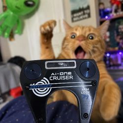 Odyssey Ai-ONE Cruiser Arm Lock #7 Putter w/ Headcover -- OBO