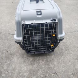Pet Kennel 
