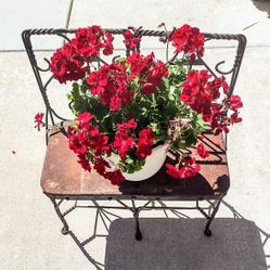 Beautiful Rare,Parlor Childs Ice Cream Twisted Wire Bench