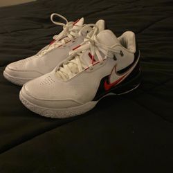 Nike Zoom LeBron NXXT Gen AMPD Basketball Shoes