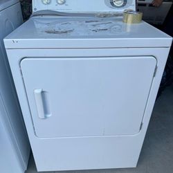 Large Capacity Dryer 