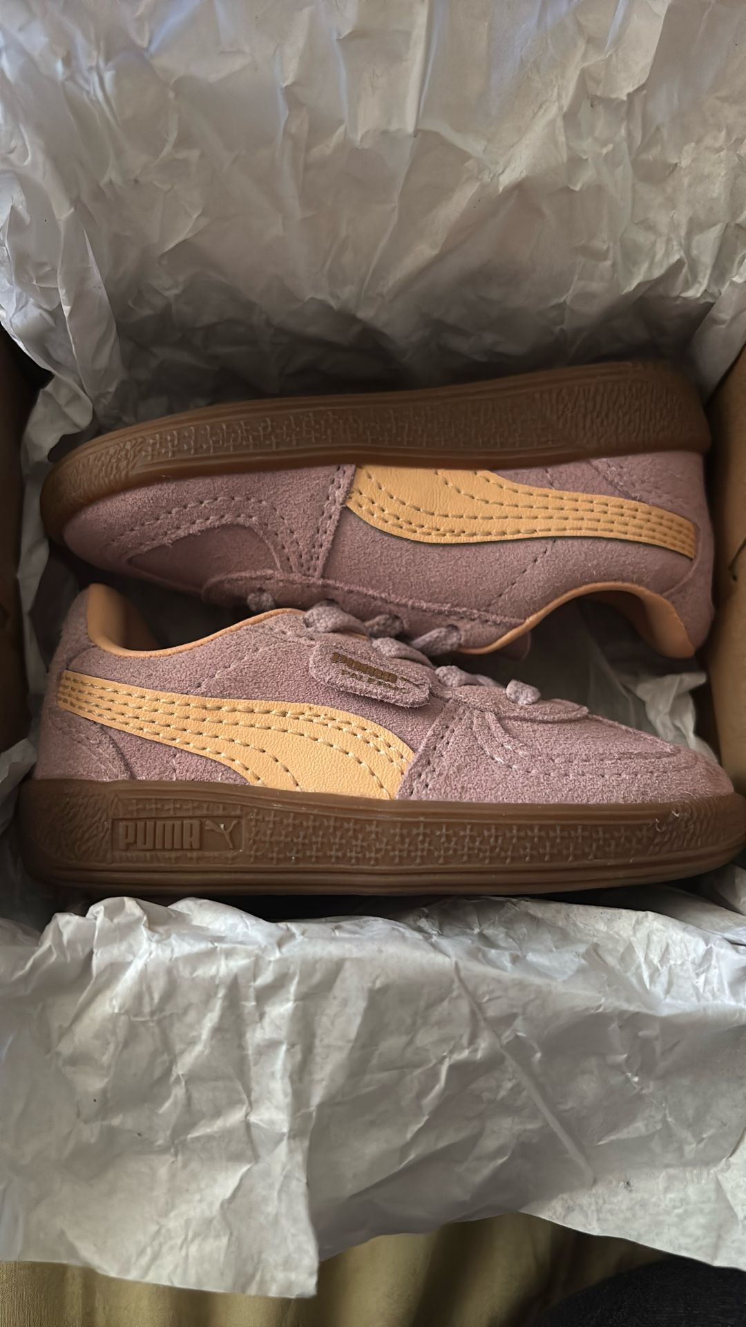 Puma Shoe