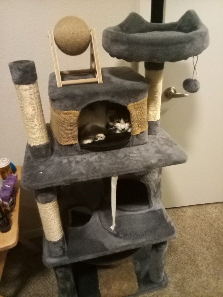 Cat Tower