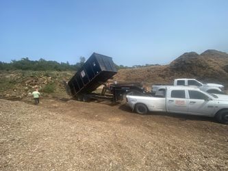 De Molisiones limpiamos Terrenos