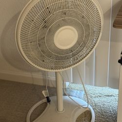 Electric Fan