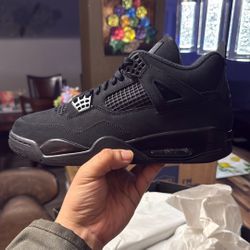 Black Cat Air Jordan 4s Sz 11(2025) (ISO Gamma 11)