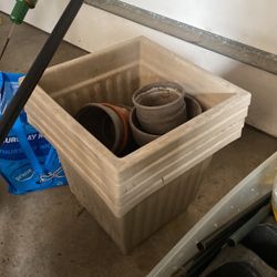 Plant Pots