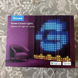 Govee Lights