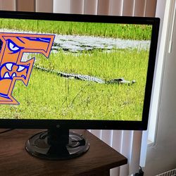 23.6” Computer Monitor (HP)