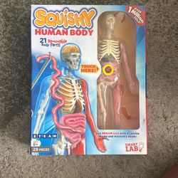 Squishy Human Body