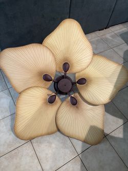 Ceiling fan