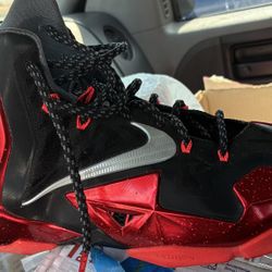 LeBron James Nikes Size 13