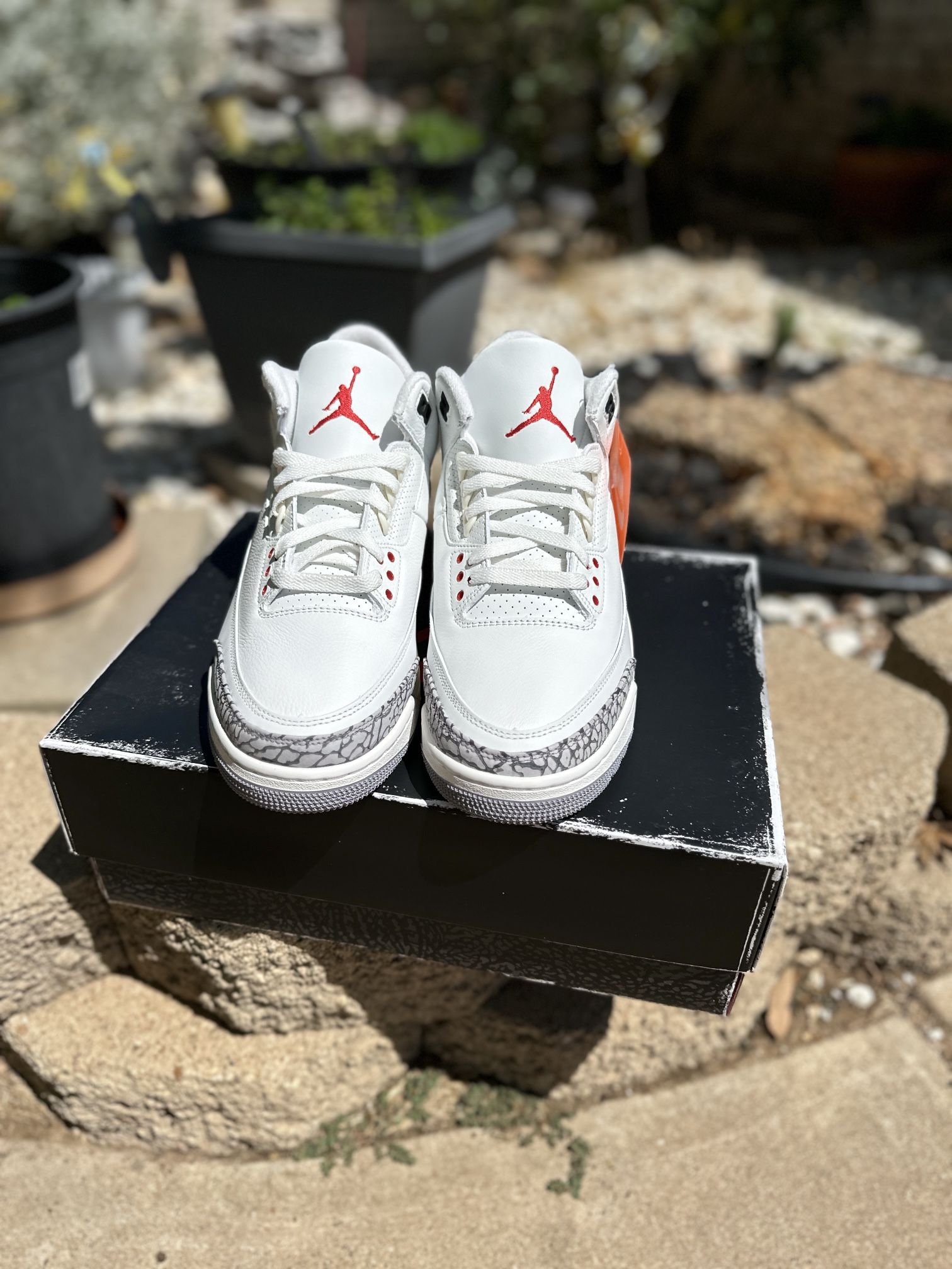 Jordan 3 Palomino Brand New for Sale in El Paso, TX - OfferUp