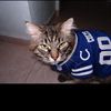 marlo.colts