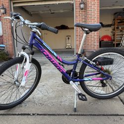 Schwinn 24 Inch Girls Bike