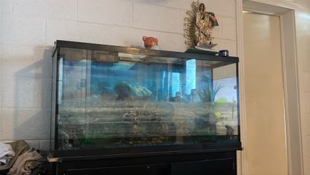 Fish tank 50 gallon