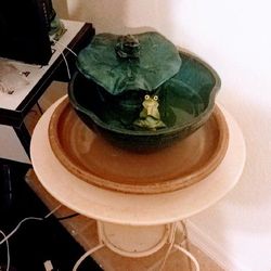 Frog Fountain