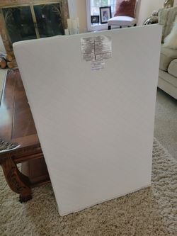 FREE mini crib mattress