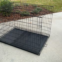 Large Dog Cage