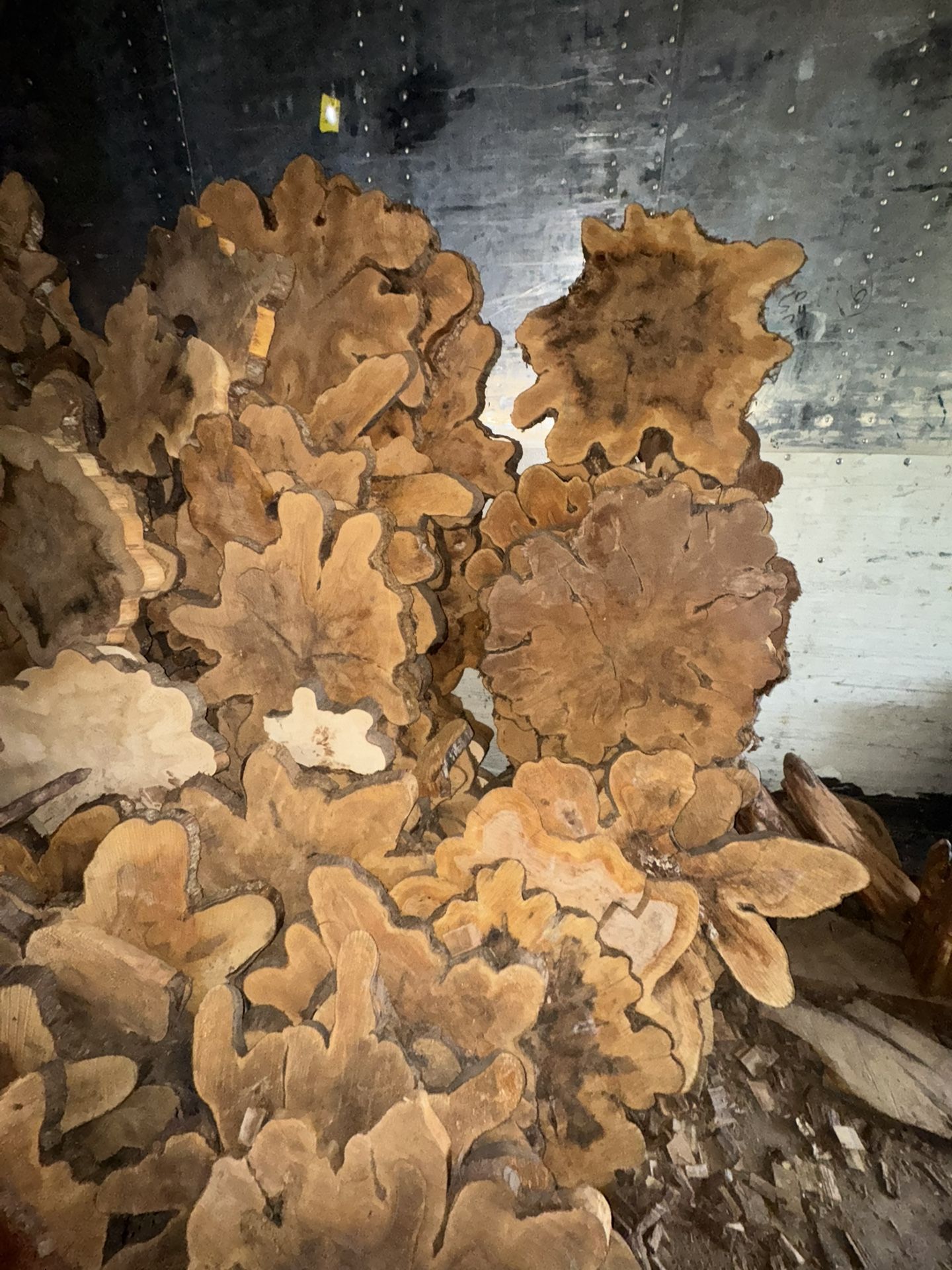 Wood Variety