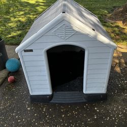 Dog House