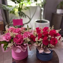 Roses 