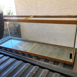 Fish Tank