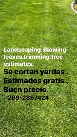 Yardas / Landscape 