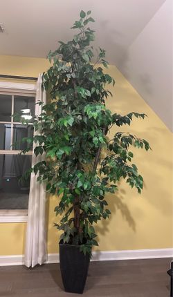 Large 8 ft Artificial Ficus Tree with Decorative Planter