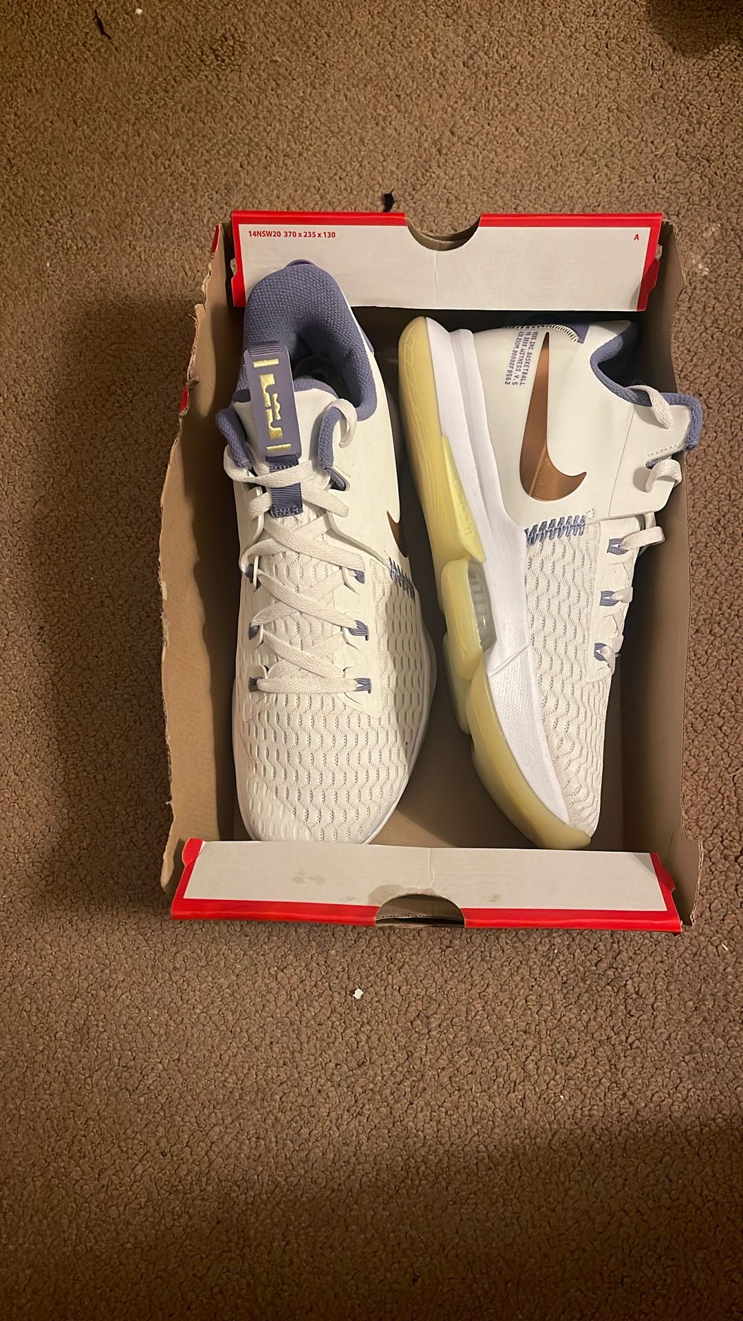 Nike LeBron Summit Witness 5