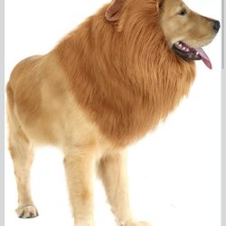Lion Mane for Dog Costumes